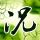 幸福来敲门